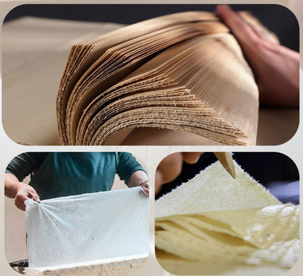 Papier à graines coloré pour les entreprises