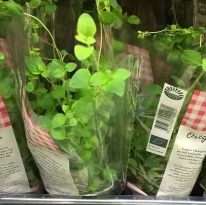 Impression personnalisée de films BOPP transparents pour emballage de fleurs et de plantes