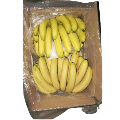 Sacs de couverture en carton transparent pour légumes Sacs de couverture en polyéthylène poly avec trous