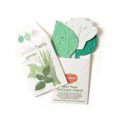 0.8mm papier blanc graines incrustées cartes 100 feuille Eco Friendly