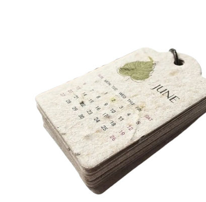 Papier à graines recyclé incorporé, fait à la main, écologique, sans bois
