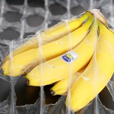 Enveloppe alimentaire et végétale film étirable LDPE 500 mm x 1420 m avec 250% d'allongement et matériau durable